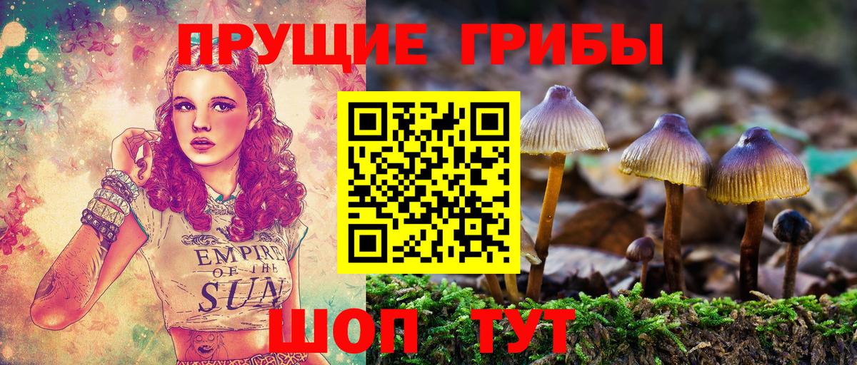 Псилоцибиновые грибы мухоморы Тамбов