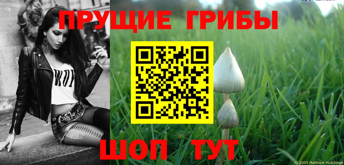 Тамбов  Галлюциногенные грибы ЛСД  Вход с VPN 